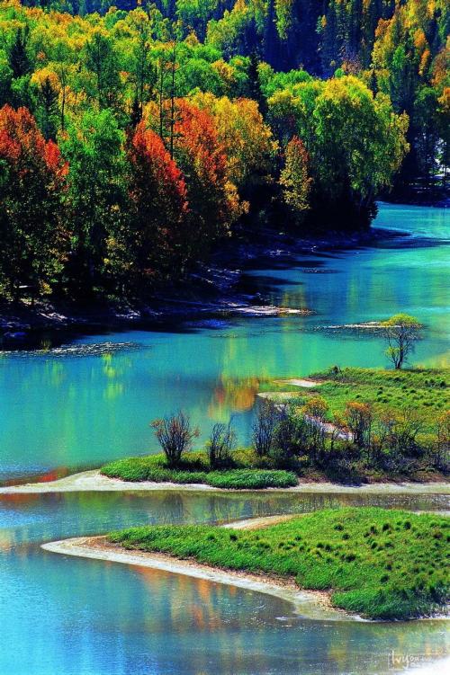 陕西11岁失踪男孩已遇害(失踪案)