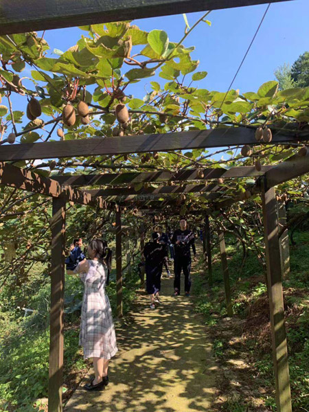 地理标志给力 龙头企业发力 贵州农民脱贫增收有力