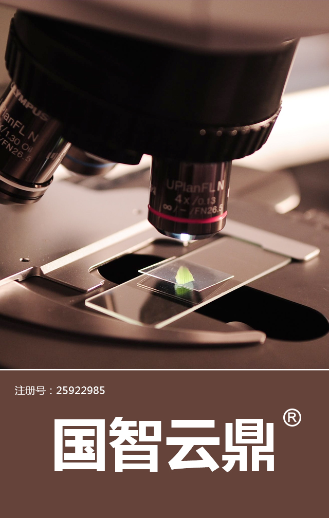 国智云鼎，商标转让详情介绍