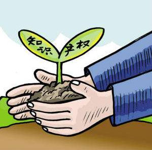 深圳知识产权多项指标创下全国之最
