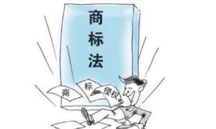 申请人的商标注册数量能否成为“不正当”的决定性因素？