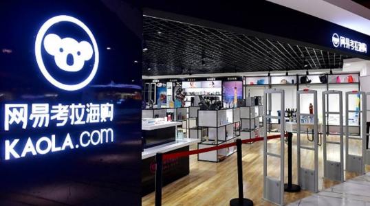 这只考拉做了洋货搬运工，这回恐怕不能高枕无