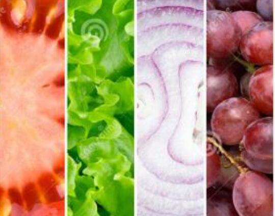 食品商标注册在第几类？如何查？